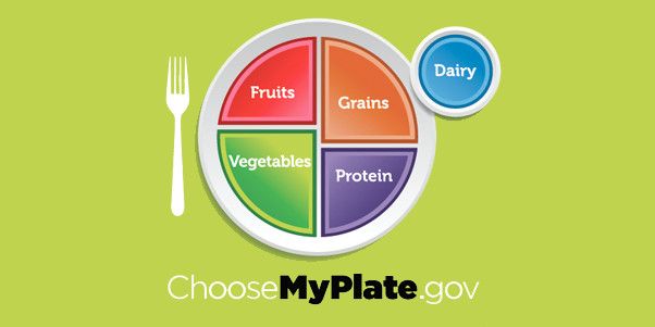 MyPlate vs MyFitnessPal: Choosing Your Best Nutrition Tracker